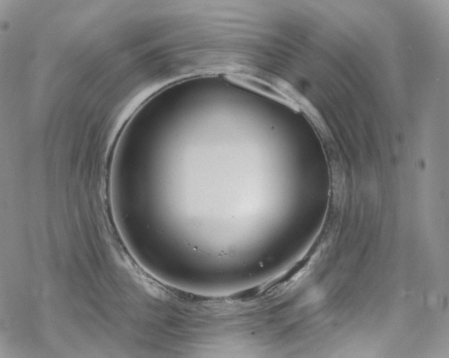 X0000070360956200606091028