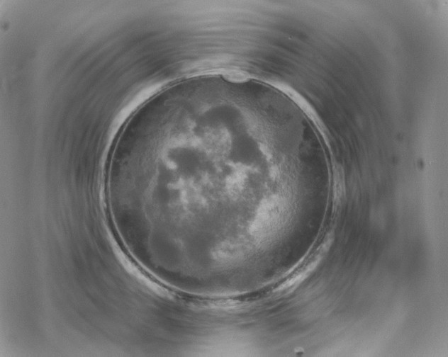 X0000070360957200606091028