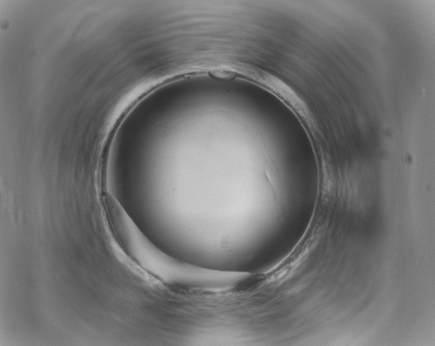 X0000070360958200606091028