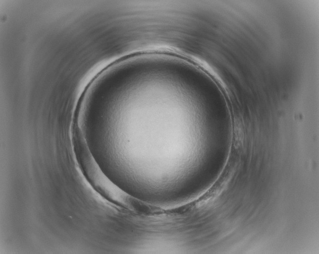 X0000070360959200606091028