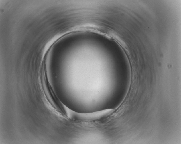 X0000070360960200606091028