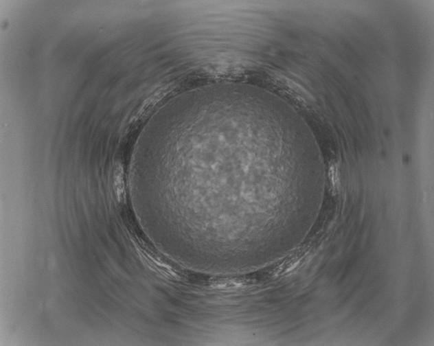 X0000070360963200606091027