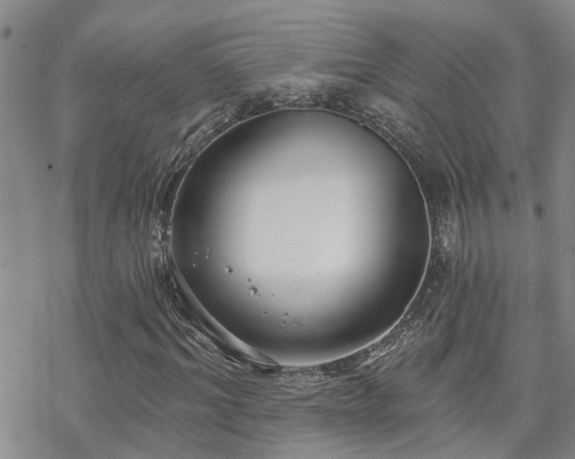 X0000070360964200606091027