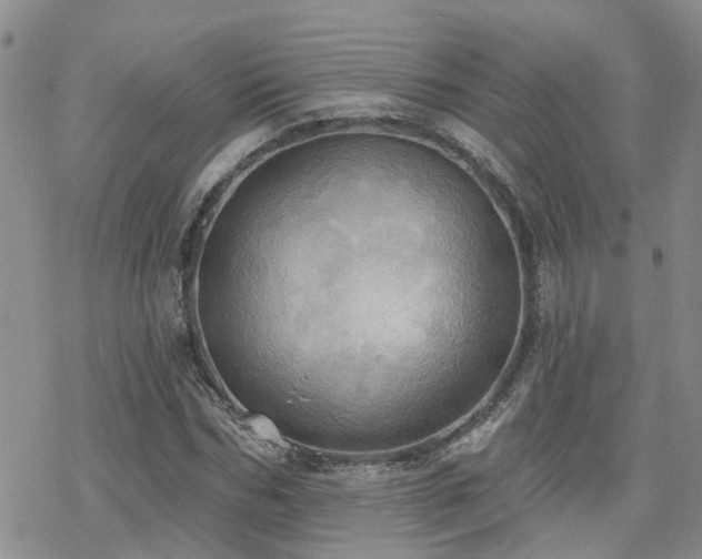 X0000070360970200606091027