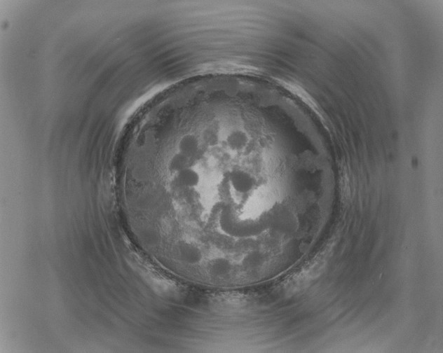 X0000070360971200606091027