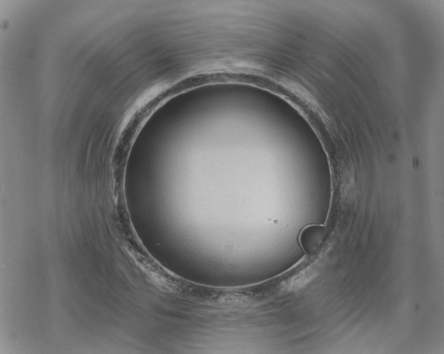 X0000070360974200606091027