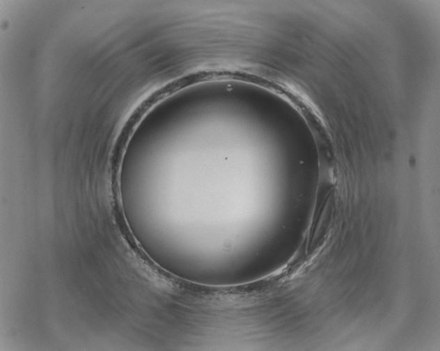 X0000070360976200606091027