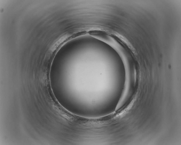 X0000070360977200606091027