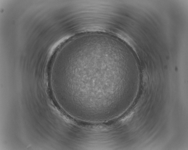 X0000070360979200606091027