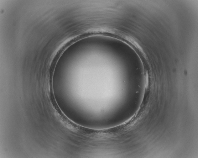 X0000070360984200606091027