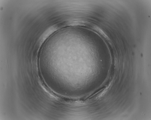 X0000070360986200606091027