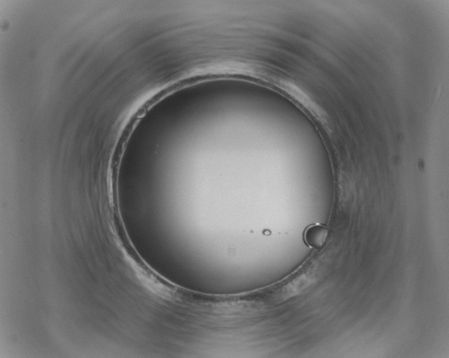 X0000070360988200606091027