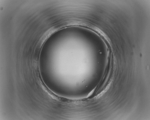 X0000070360993200606091027