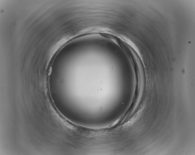 X0000070360997200606091027