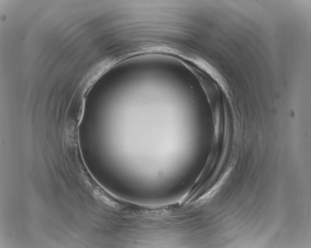 X0000070361001200606091027