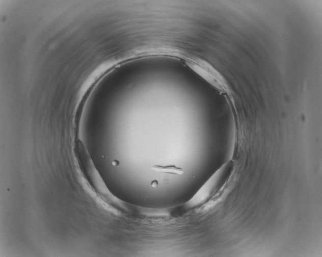 X0000070361005200606091027