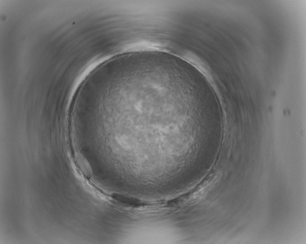 X0000070361008200606091027