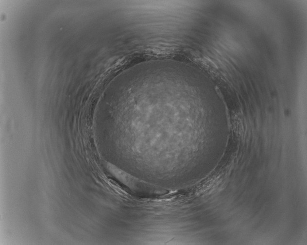 X0000070361009200606091026