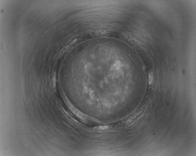 X0000070361011200606091026