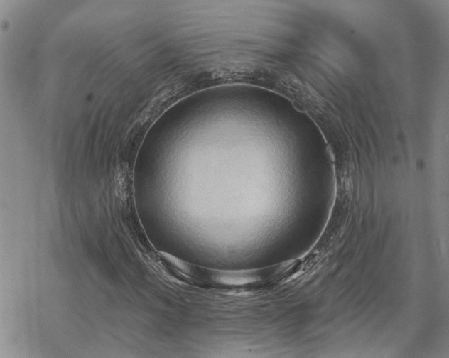 X0000070361012200606091026