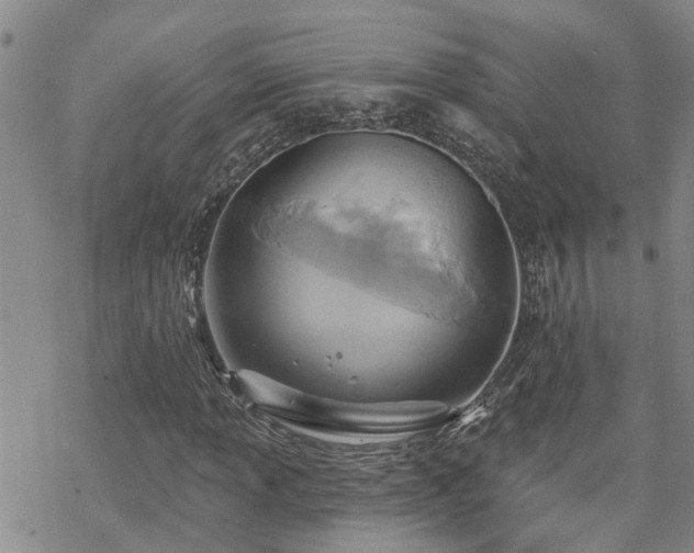 X0000070361013200606091026