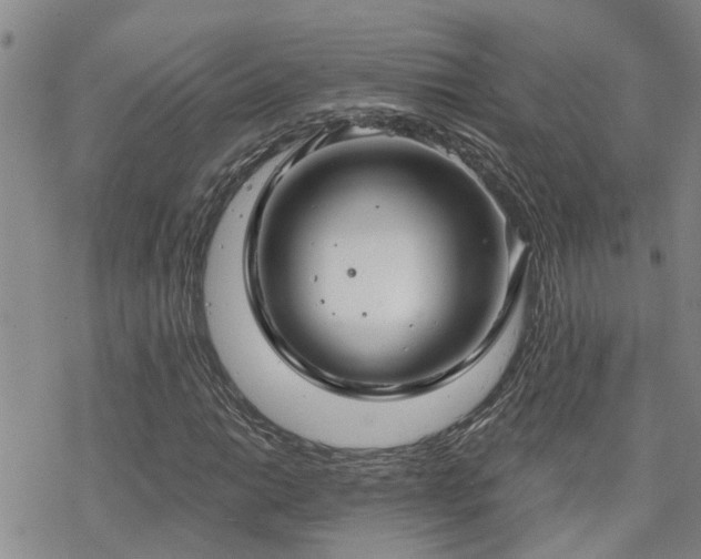 X0000070361014200606091026