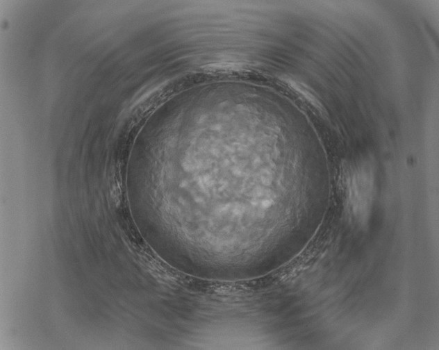 X0000070361015200606091026