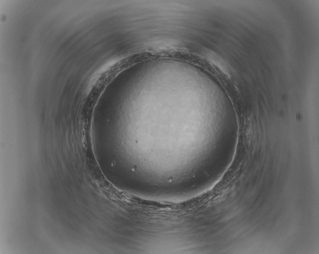 X0000070361016200606091026