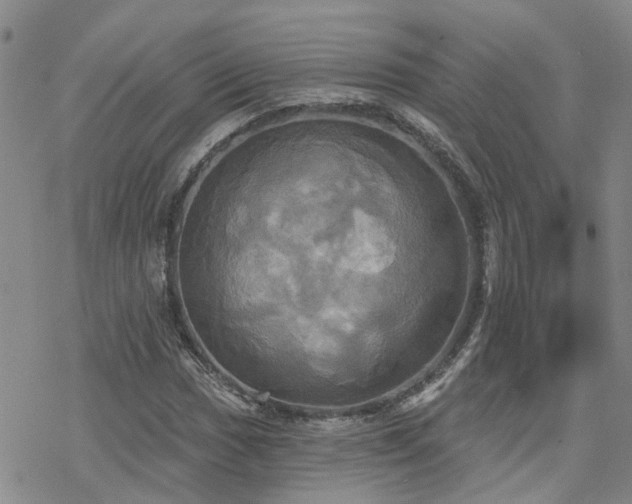 X0000070361017200606091026