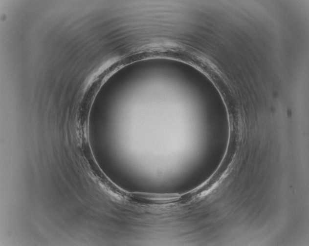 X0000070361018200606091026