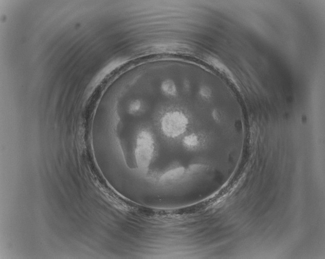 X0000070361019200606091026