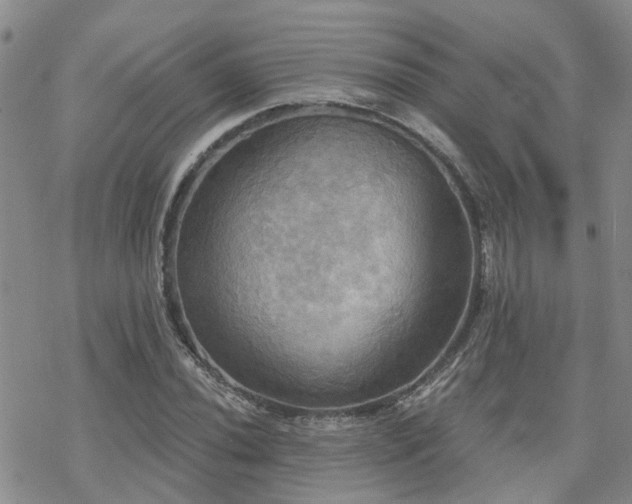 X0000070361020200606091026