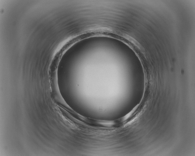 X0000070361022200606091026