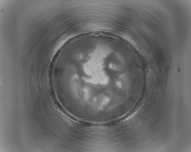 X0000070361023200606091026