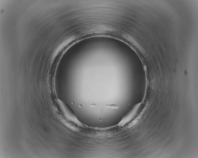 X0000070361026200606091026