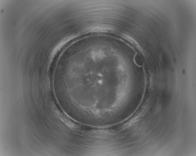 X0000070361027200606091026