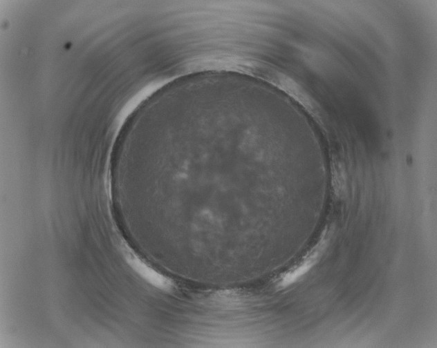 X0000070361028200606091026