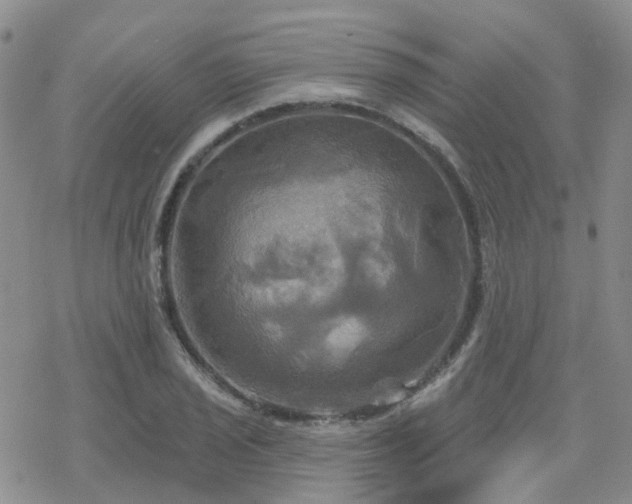 X0000070361029200606091026