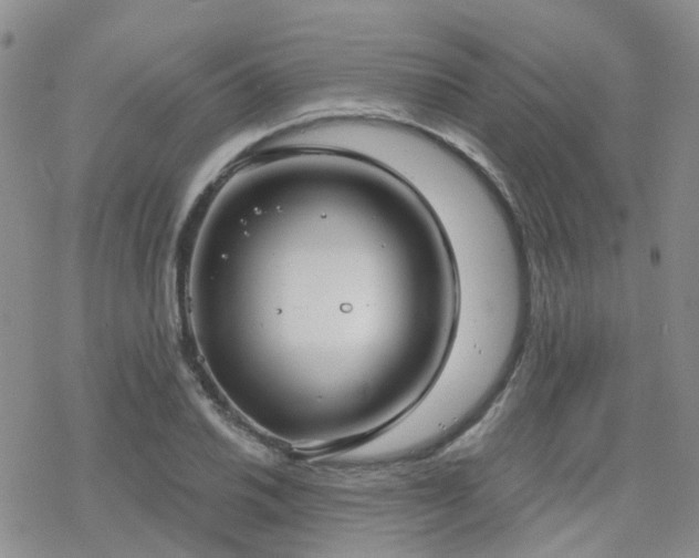 X0000070361030200606091026