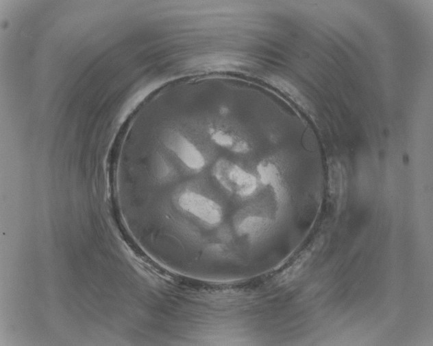 X0000070361031200606091026