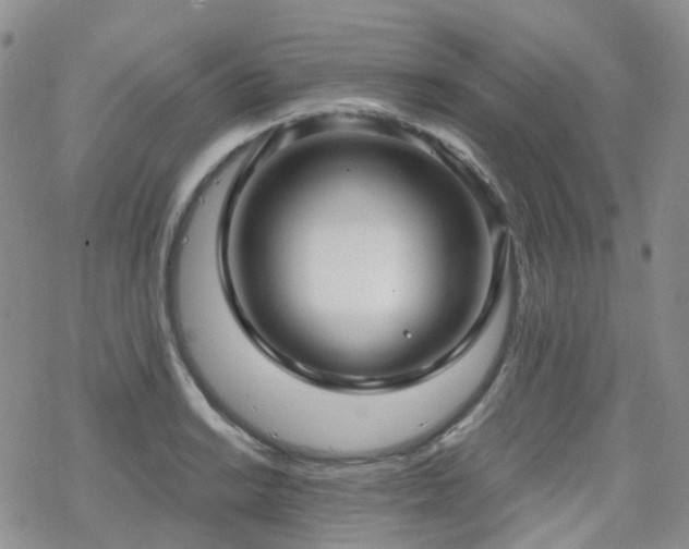 X0000070361038200606091026