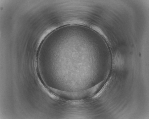 X0000070361040200606091026