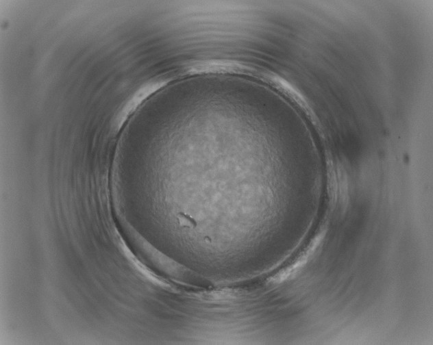 X0000070361041200606091026