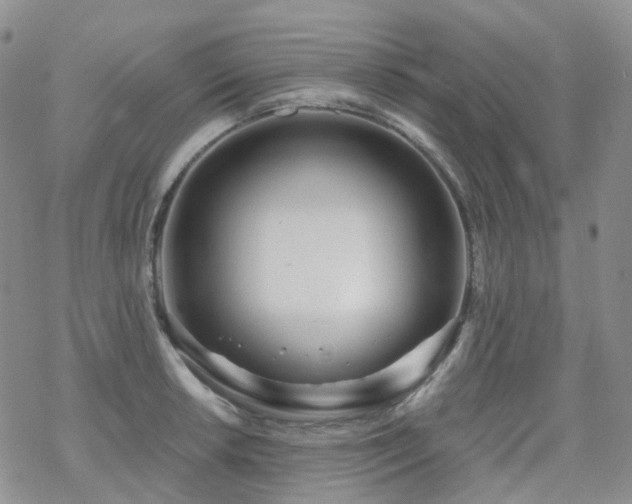 X0000070361042200606091026