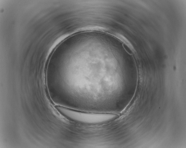 X0000070361044200606091026