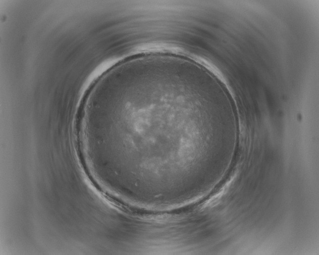 X0000070361045200606091026