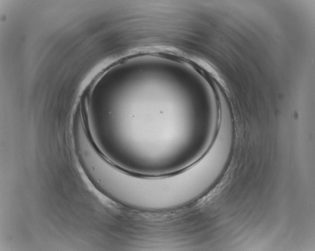 X0000070361046200606091026