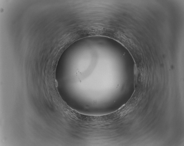 X0000070361057200606091026