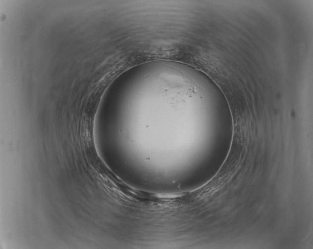 X0000070361058200606091026