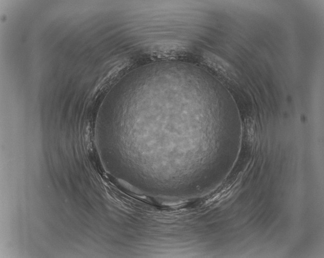 X0000070361060200606091026